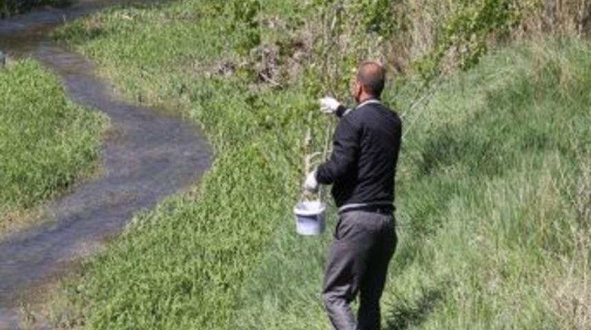 Bayburt Belediyesi Sinekle M&uuml;cadeleye Erken Başladı