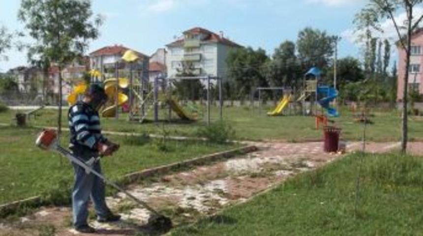 Saltukova Beldesinde &Ccedil;evre D&uuml;zenlemesi