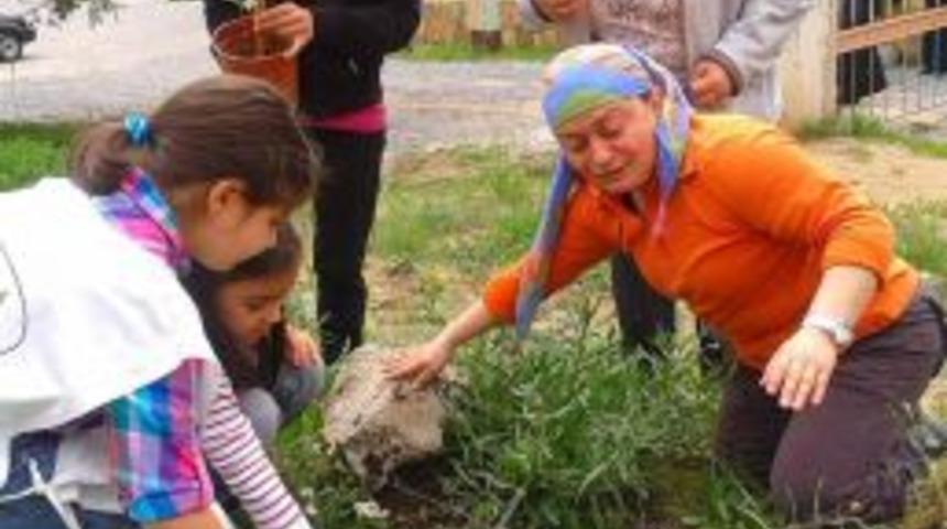 Yavru TEMA&rsquo;dan Paşabah&ccedil;e&rsquo;ye Fidan Desteği