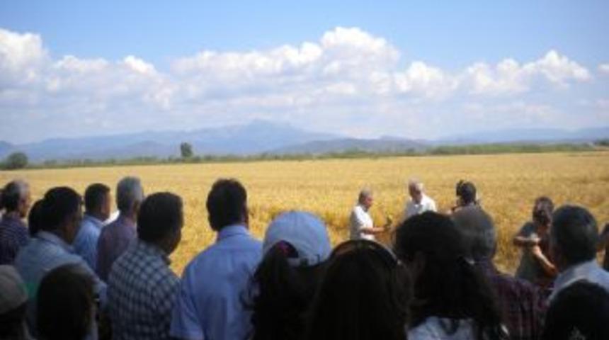 S&ouml;ke'de 'Tarla G&uuml;n&uuml;' D&uuml;zenlendi