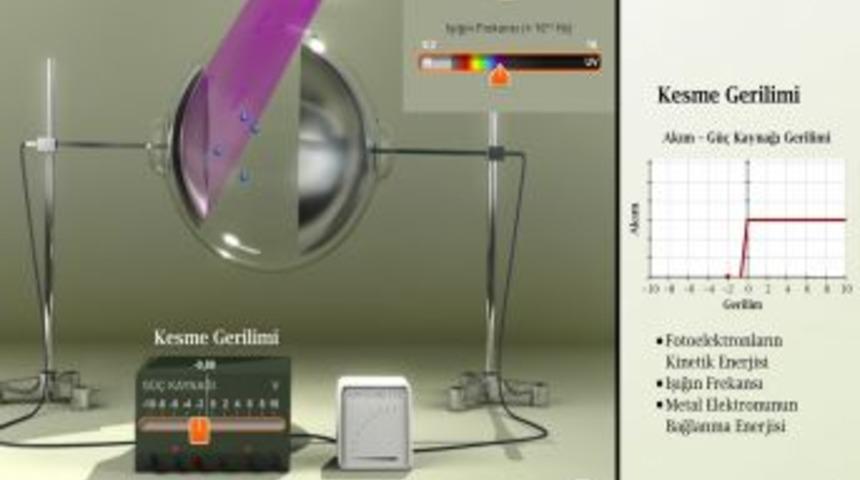 Sıkı Dostlara Vitamin'de Sınır Yok