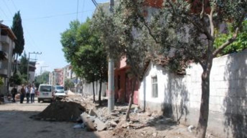 Karacabey'de Kaldırımdaki Ağa&ccedil;ların Kesilmesine Tepki