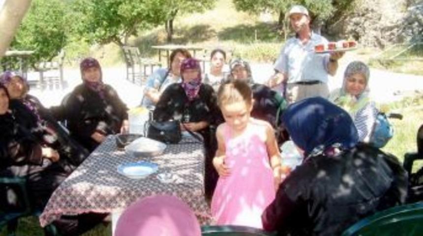 K&ouml;yde K&ouml;rfez Manzaralı Kafeterya