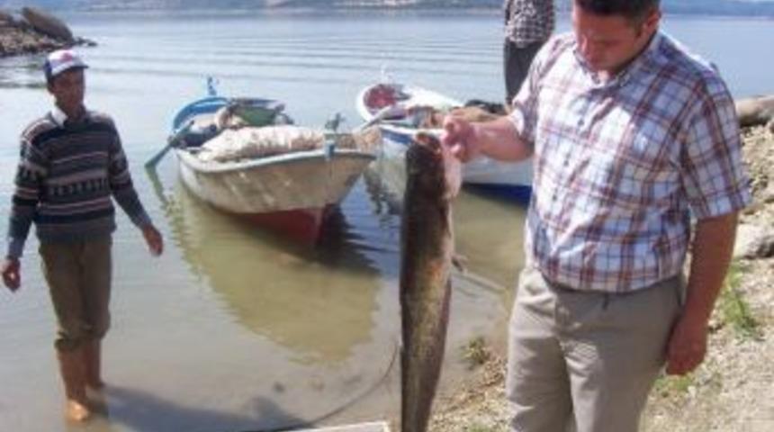 Demirk&ouml;pr&uuml;'de Yeni Av Sezonu Sıkıntılı Başladı