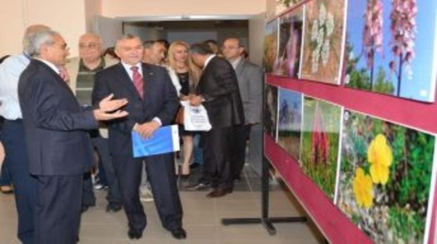 Eskişehir'de Biyolojik &Ccedil;eşitliliği Paneli Yapıldı