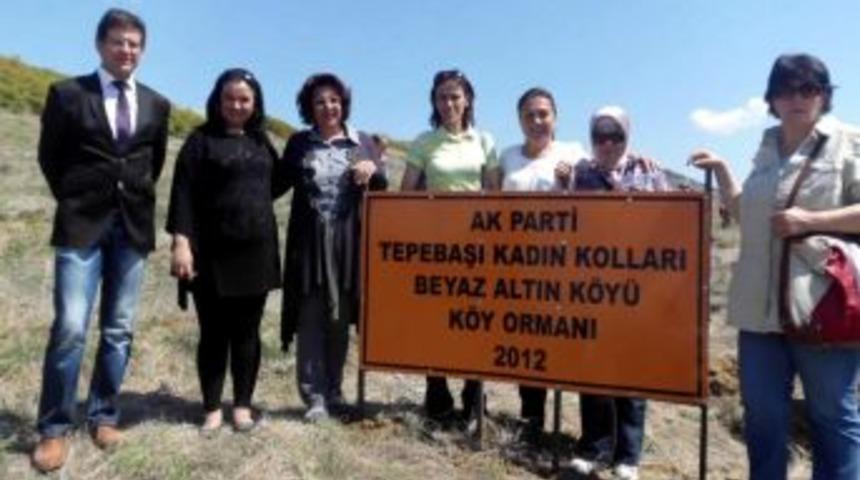 Ak Parti Tepebaşı Kadın Kolları 700 &Ccedil;amı Toprakla Buluşturdu