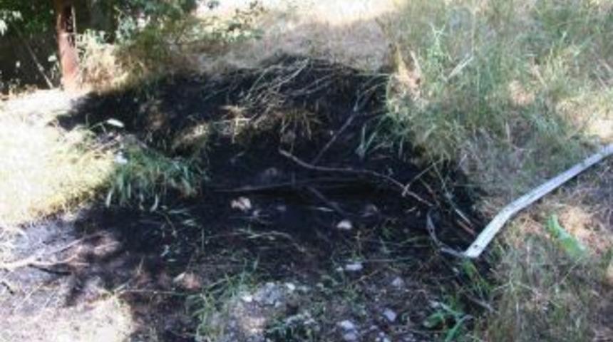 Diyarbakır'da Okula Ses Bombalı Saldırı