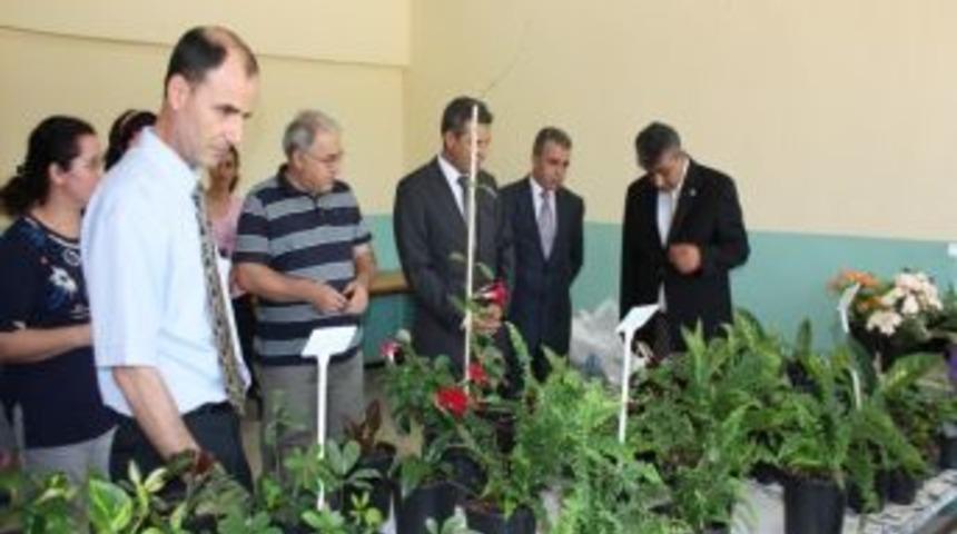 Samandağ Myo'nun Fiziki Koşullarının İyileştirilmesi