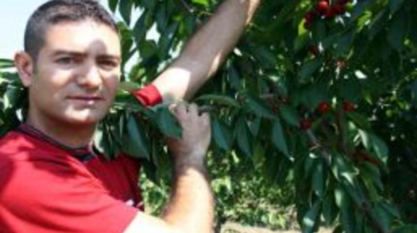 Yağmur Kirazı Vurdu, Ihracat Sıkıntıya Girdi