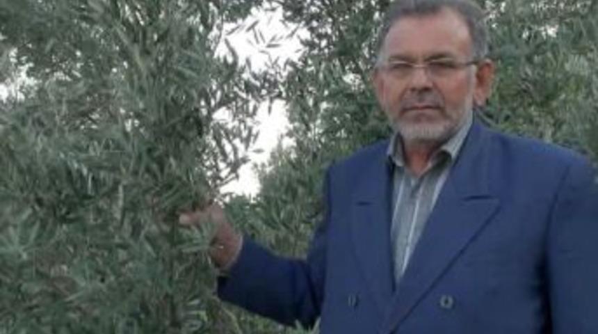 Arazisini Definecilerden Korumak I&ccedil;in Zeytin Dikti, Mahkum Oldu