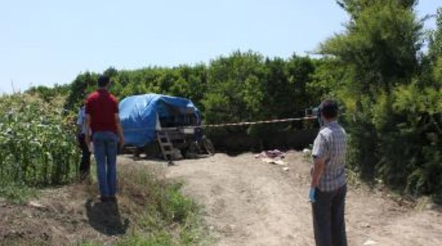 Yaşlı Adam, Narenciye Banh&ccedil;esinde &Ouml;ld&uuml;r&uuml;ld&uuml;