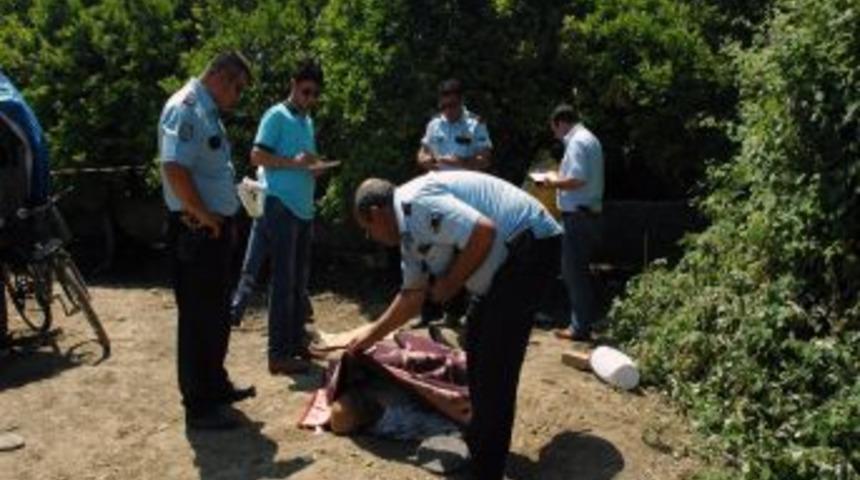 Portakal Bah&ccedil;esinde Cinayet