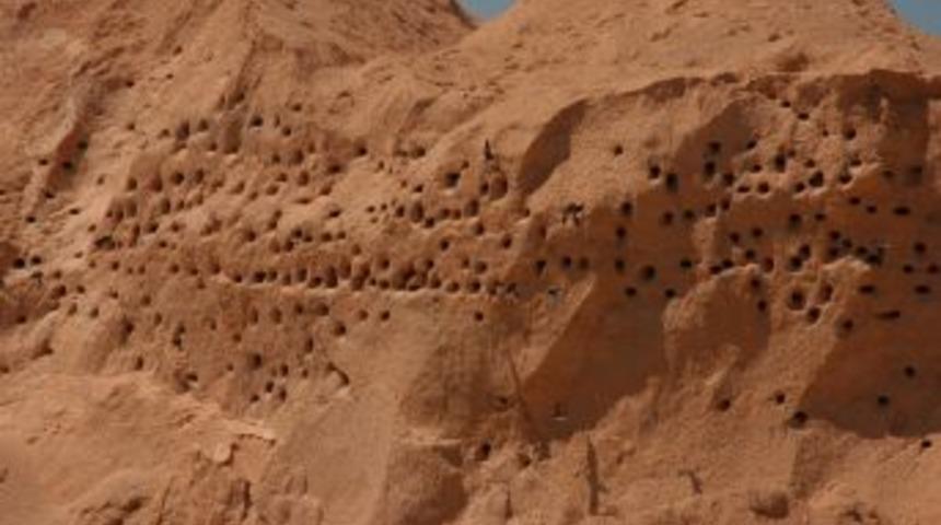 Kırlangı&ccedil;ların Yuva Se&ccedil;tiği Şantiyede, Işler Yavaşlatıldı