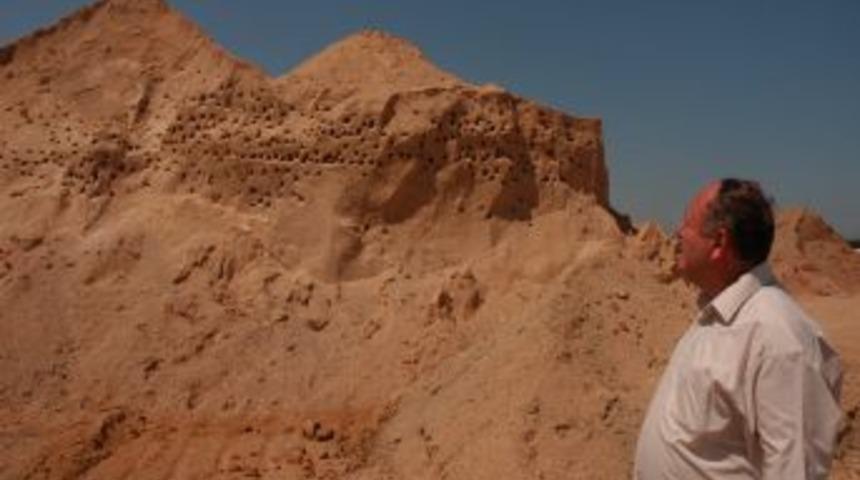 Kırlangı&ccedil; 'yuva' Yaptı Asfalt Şantiyesinde İşler Durdu