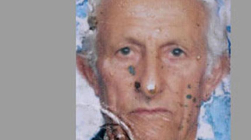 Arılar komaya soktu, kene &ouml;ld&uuml;rd&uuml;