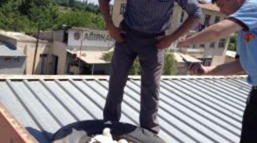 Iğdır'da Mahsur Kalan Leylekler Kurtarıldı