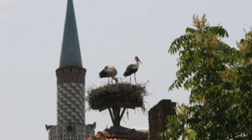 Leylek Şenliği B&uuml;y&uuml;ledi