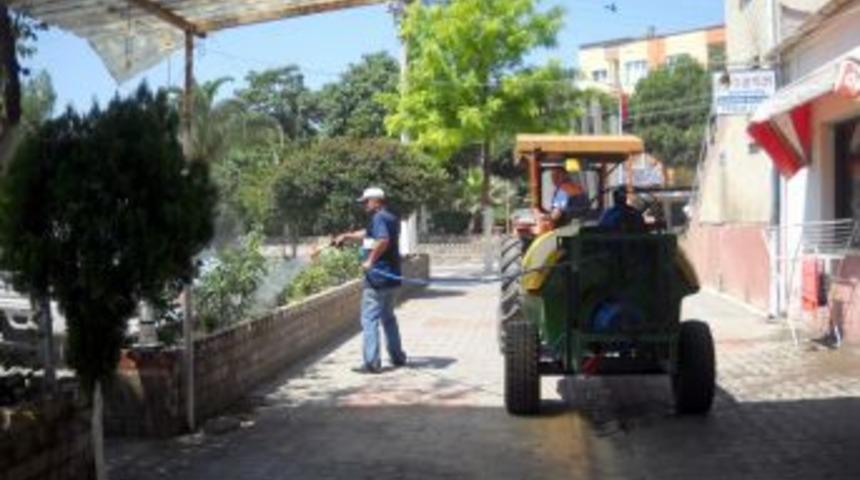 At&ccedil;a Belediyesi Sivrisinek Ve Haşerelere Savaş A&ccedil;tı