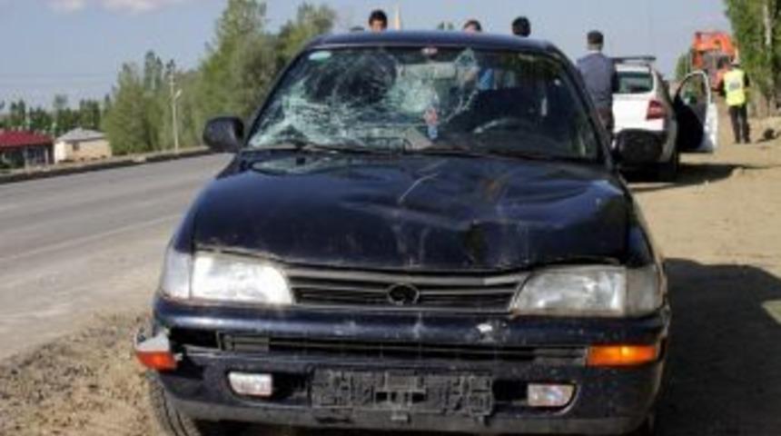 Otomobil İneğe &Ccedil;arptı