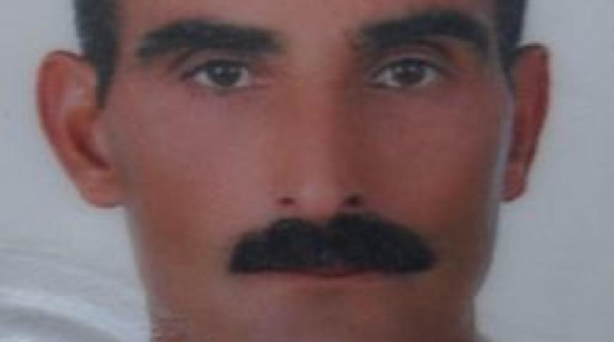 Kamu Arazisine Hint Keneviri Eken &Ccedil;oban Yakalandı