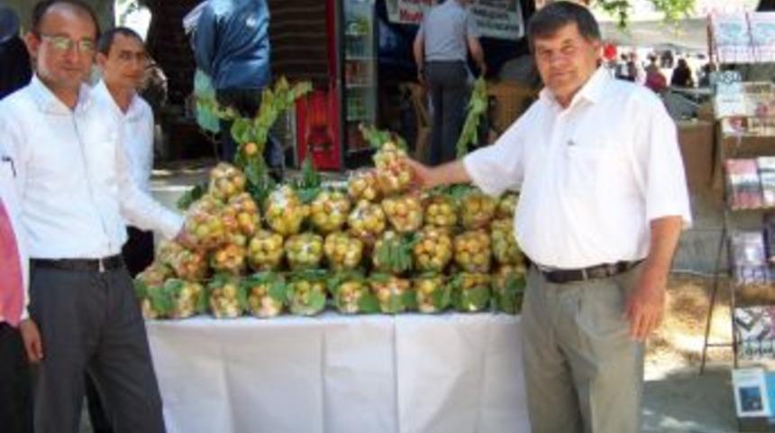 Otomobiliyle Evin Duvarına &Ccedil;arpan Gen&ccedil; Kız Yaralandı