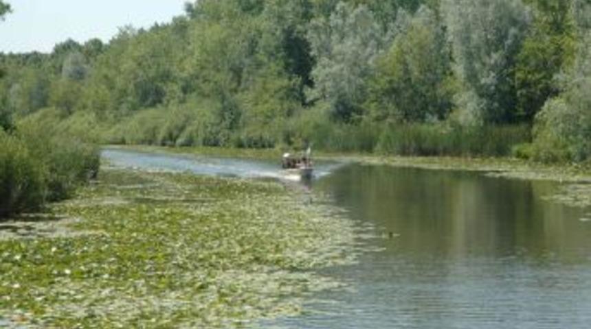 Y&uuml;zlerce Kilometre Uzaktan Su Menekşesini G&ouml;rmeye Geliyorlar