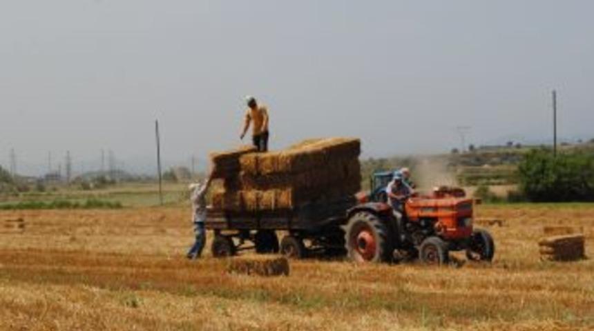 Antalya B&ouml;lgesinde Pamuk &Ccedil;apalama Yevmiyesi 30 Lira Olarak Belirlendi