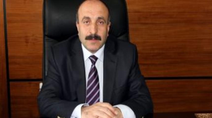 "getirilen Cezalar Korsanı Bitirmeye Yeterli Olacaktır"