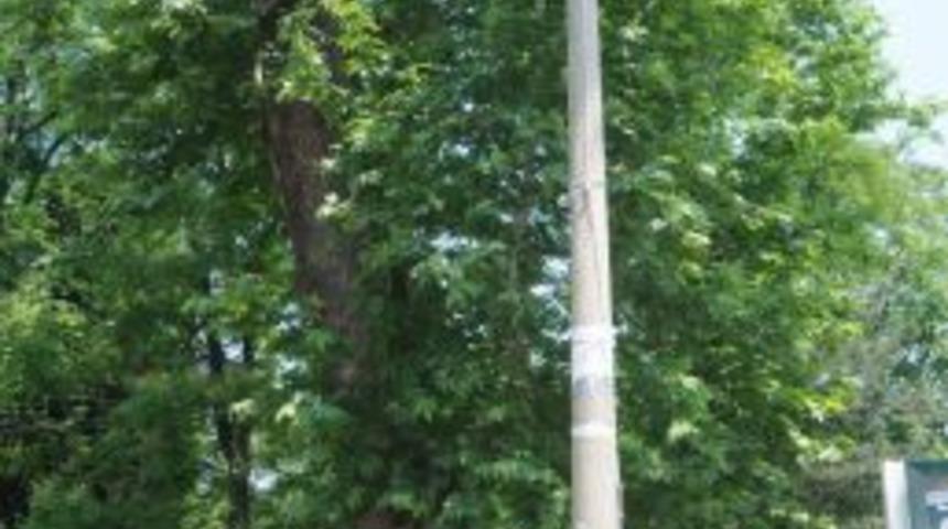 &Uuml;zerine Yıldırım D&uuml;şen 7 Kişilik Aileyi, Elektrik Direği Mutlak &Ouml;l&uuml;mden Kurtardı