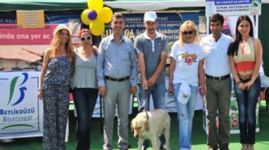 Park Orman Petfest'in Şampiyonu Beylikd&uuml;z&uuml;'nden