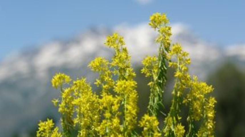 Y&uuml;ksekova'da 4 Mevsim Bir Arada Yaşanıyor