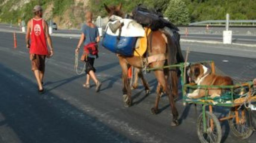 Fransa'dan, Hindistan'a Katır, Eşek Ve K&ouml;pekle Yolculuk