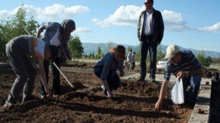 Akademisyenler Hobi Bah&ccedil;elerinde Tarıma Başladı