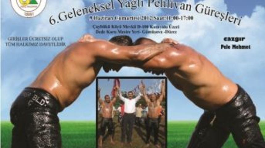 Geleneksel Yağli Pehlivan G&uuml;reşleri Dedekoru Mevkiinde Yapilacak