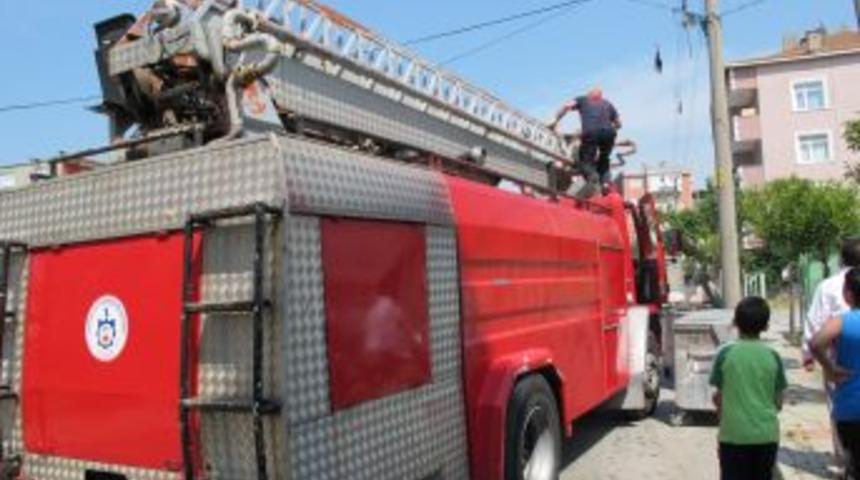 İtfaiye'den Karga Kurtarma Operasyonu