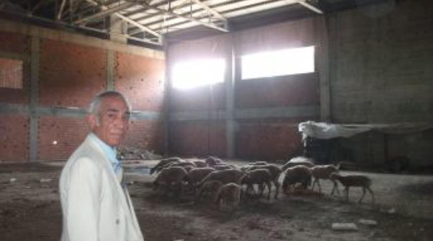 Spor Salonu Koyunlara Ahır Oldu