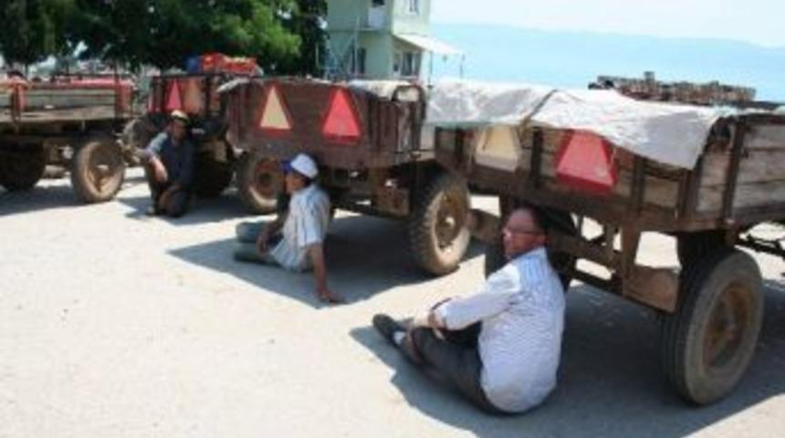 Fasulye &Ccedil;ift&ccedil;iyi &Uuml;zd&uuml;