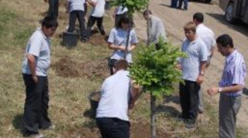 Ağa&ccedil; Dikip, Sahili Temizlediler