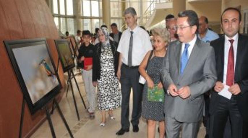&lsquo;Adana&rsquo;nın Kuşları&rsquo; Sergisi A&ccedil;ıldı