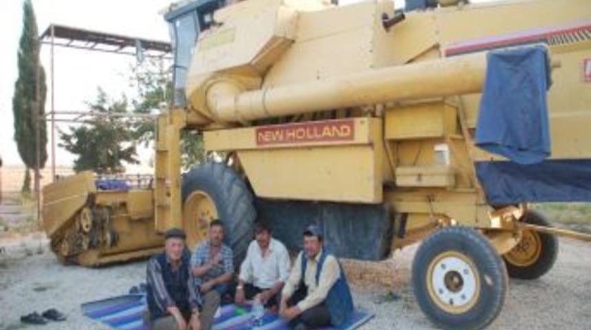 Amik'te Sel Buğday Başaklarına Zarar Verdi, Bi&ccedil;erd&ouml;verci Işsiz Kaldı