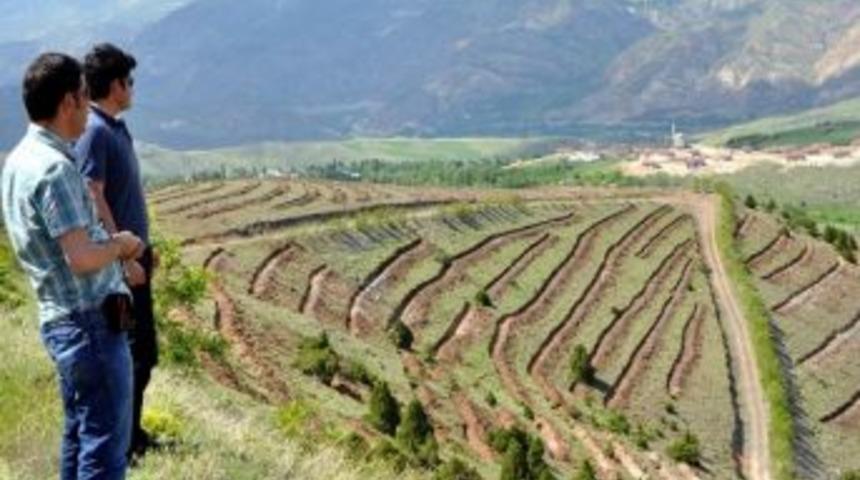 2 Milyon Fidan Toprakla Buluşacak
