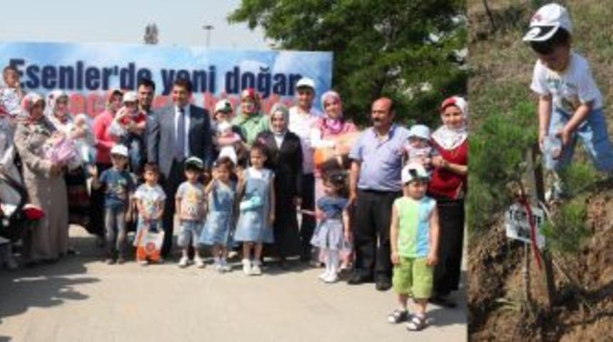 Bebekler ağa&ccedil;larıyla b&uuml;y&uuml;yor