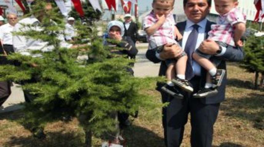 Bebekler Ağa&ccedil;larıyla B&uuml;y&uuml;yor
