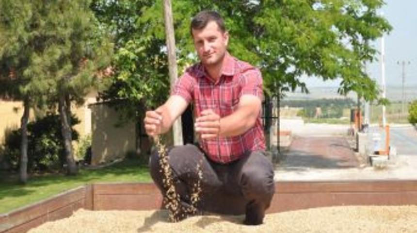 Yılın Ilk Arpası Keşan Ticaret Borsası&rsquo;na Geldi