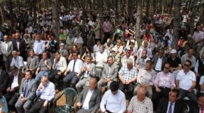 Safranbolu&rsquo;da "&ccedil;ullu B&ouml;rek Şenliği" D&uuml;zenledi