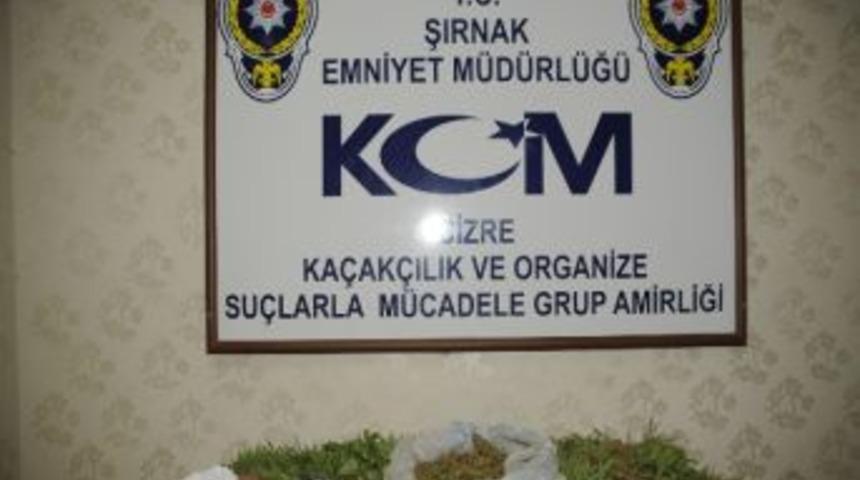 Cizre'de Uyuşturucu Operasyonu