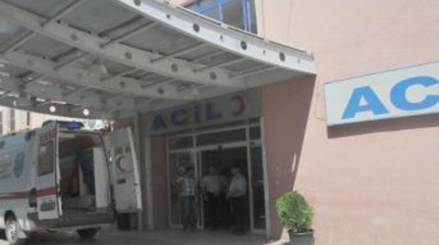 Hayvan Otlatma Meselesi Y&uuml;z&uuml;nden Kavga &Ccedil;ıktı