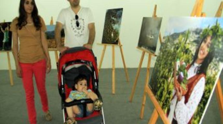 Orman Sevgisini Fotoğraflarla Anlattılar