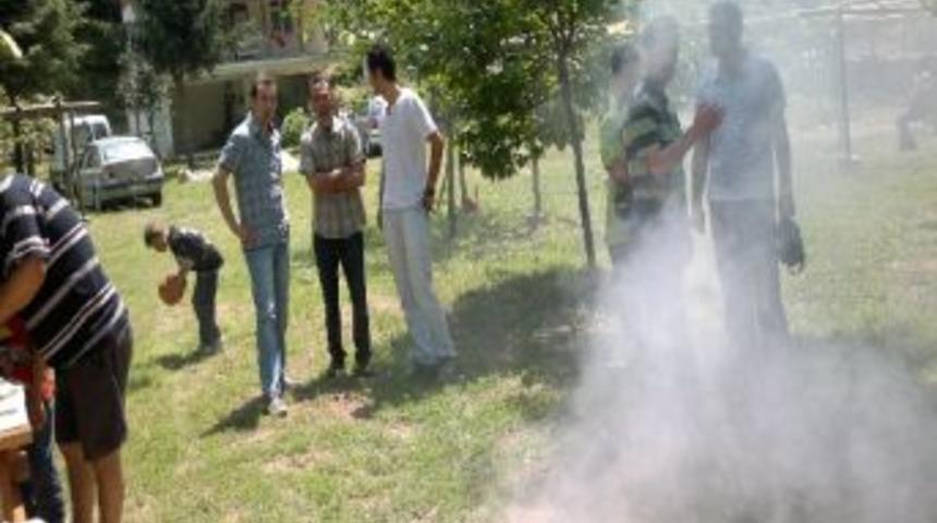 Alaplı T&uuml;rk Eğitim-sen&rsquo;den Yıl Sonu Pikniği