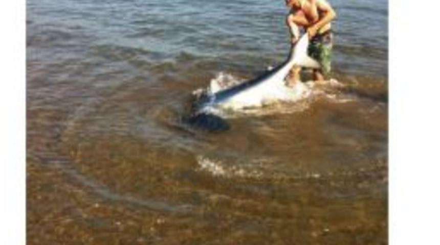 Vatandaşlar: K&ouml;pek Balığı Marmaris Depremini Haber Verdi